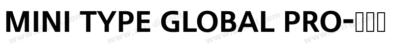 MINI Type Global Pro字体转换